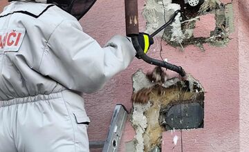 FOTO: Hájske varuje pred sršňami, hniezda sa ukrývali pod strechou aj fasádou