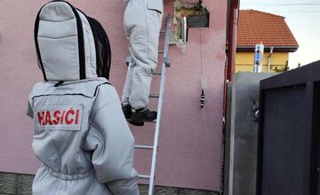 FOTO: Hájske varuje pred sršňami, hniezda sa ukrývali pod strechou aj fasádou