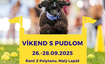 FOTO: Posledný septembrový víkend v Nitre a okolí prinesie históriu MHD, rínek, rozmanitosť aj špeciálny víkend so psami