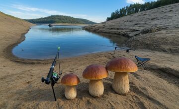 FOTO: Hubári - vtipkári vytvorili obrázky pomocou umelej inteligencie