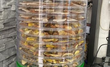 FOTO: Hubárska sezóna pokračuje aj v októbri