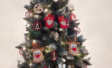 FOTO: Grinch úraduje už v októbri. Rodine z Nitry zmizol z pivnice vianočný stromček aj ozdoby