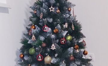 FOTO: Grinch úraduje už v októbri. Rodine z Nitry zmizol z pivnice vianočný stromček aj ozdoby