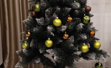 FOTO: Grinch úraduje už v októbri. Rodine z Nitry zmizol z pivnice vianočný stromček aj ozdoby