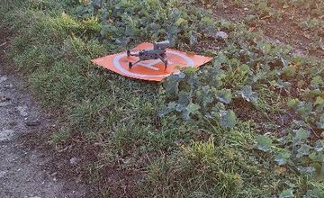 FOTO: Seniorke z Nitry niekto ukradol mačiatka a vyhodil ich na poli, jedno ešte hľadajú