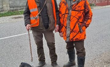 FOTO: Stratená jazvečíčka Fara napáchala na ceste R1 poriadny rozruch