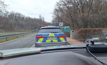 FOTO: Stratená jazvečíčka Fara napáchala na ceste R1 poriadny rozruch