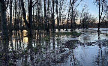 FOTO: V Kalnej nad Hronom zaplavilo rekreačný areál Ostrov pohybu