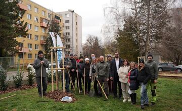 FOTO: Pre deti v Materskej škole Bazovského v Nitre priniesli a zasadili nové stromy a kríky, budú rásť s nimi