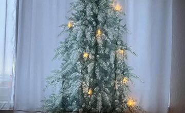 FOTO: Vianočný stromček vs. mačky