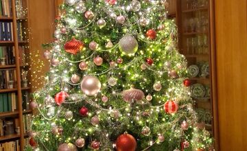 FOTO: Herci Starého divadla Karola Spišáka v Nitre prezradili, ako trávia Vianoce u nich doma