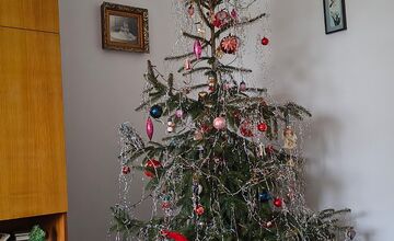FOTO: Takto vyzerajú Vianoce u vás doma v Nitre a okolí, posielali ste nám svoje stromčeky, my vám ich teraz ukážeme