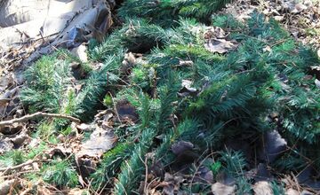 FOTO: Novú cyklotrasu z Nových Zámkov do Nesvád hyzdia odpadky, miestny cyklista pozýva na brigádu