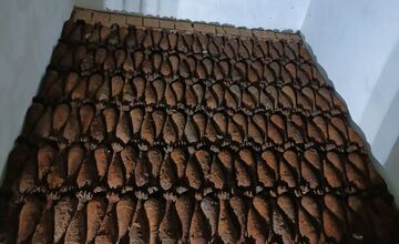 FOTO: V obci Chľaba sa našlo rekordných 180 kusov delostreleckých mín 