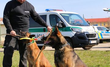 FOTO: Veľkú noc oslávili aj policajné psy