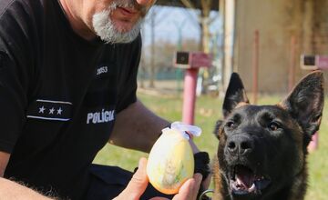 FOTO: Veľkú noc oslávili aj policajné psy