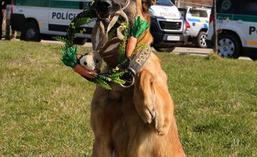 FOTO: Veľkú noc oslávili aj policajné psy