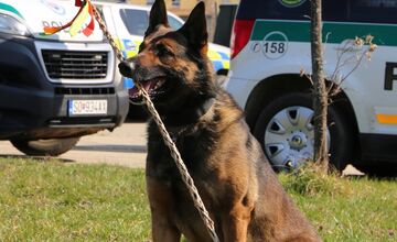 FOTO: Veľkú noc oslávili aj policajné psy
