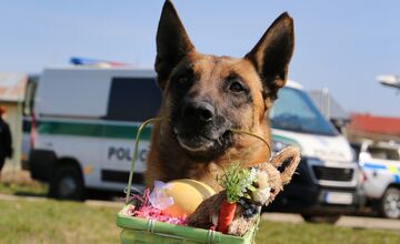 FOTO: Veľkú noc oslávili aj policajné psy