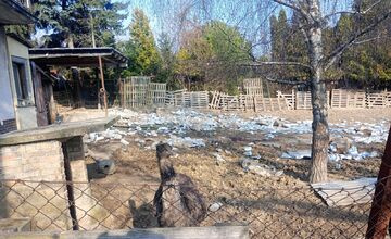 FOTO: Hospodárske zvieratá v Golianove žili v otrasných podmienkach, bez potravy a medzi tisíckami rúšok