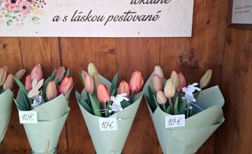FOTO: V Dolných Lefantovciach pribudol samoobslužný stánok s kvetmi