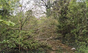 FOTO: Nitriansky dolomitový lom (Rolfesova baňa) 2026