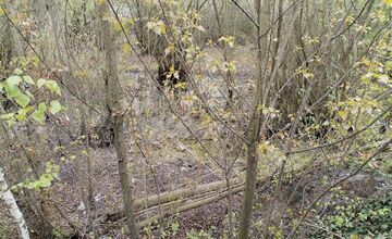 FOTO: Nitriansky dolomitový lom (Rolfesova baňa) 2026