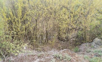 FOTO: Nitriansky dolomitový lom (Rolfesova baňa) 2026