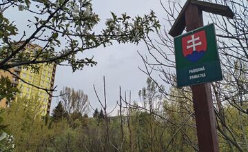 FOTO: Nitriansky dolomitový lom (Rolfesova baňa) 2026