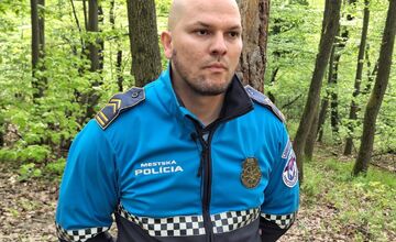 FOTO: Medveď zanechal v lese nad Nitrou jasné stopy, ukázali ich príslušníci polície