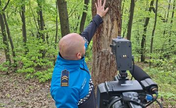 FOTO: Medveď zanechal v lese nad Nitrou jasné stopy, ukázali ich príslušníci polície