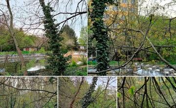 FOTO: Ľudia hodnotili niekdajšie levické kúpalisko medzi panelákmi