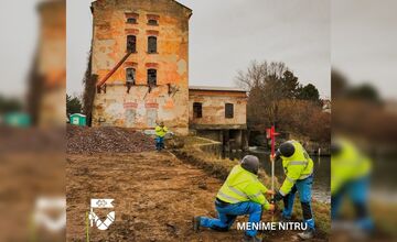 FOTO: Lipová alej v Krškanoch predtým a potom
