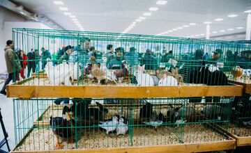 FOTO: Prehľad víkendových podujatí v Nitre od 25. - 26. apríla