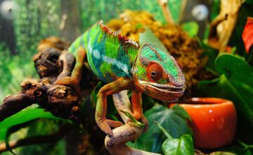 FOTO: Prehľad víkendových podujatí v Nitre od 25. - 26. apríla