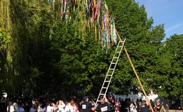 FOTO: Máje už stoja. Obce v Nitrianskom kraji ožili tradíciami, nechýbal spev ani plné námestia